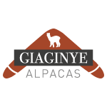 Fridge-Magnets-giaginye-alpacas